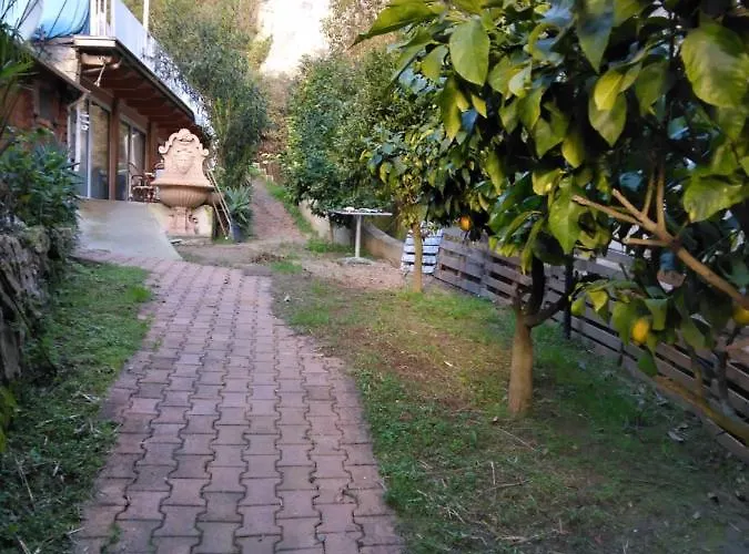 Oasis Chalet