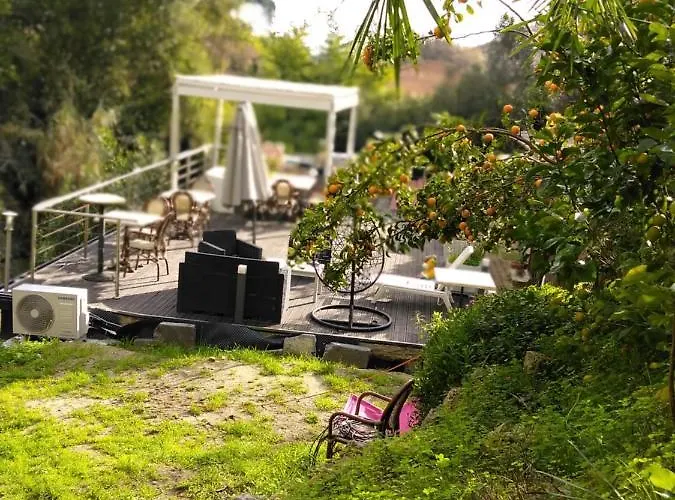 Oasis *